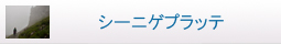 シーニゲプラッテ