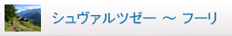 シュヴァルツゼー
